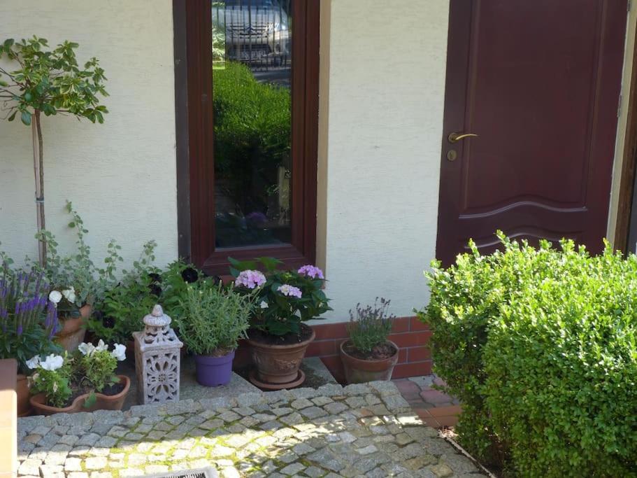 Spacious Apartment In Green District. Breslavia Exterior foto