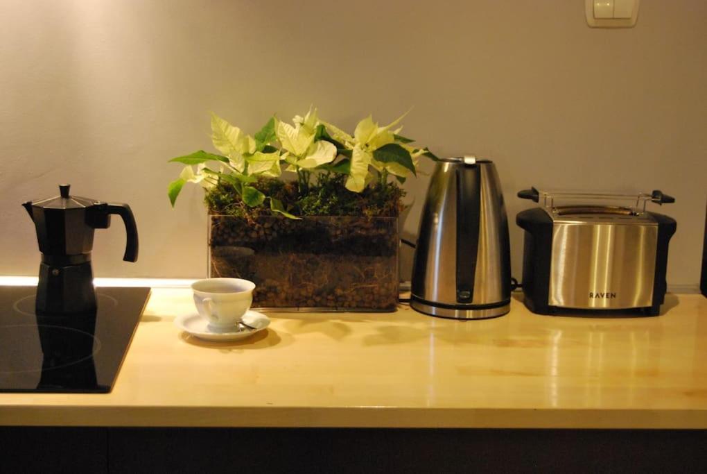 Spacious Apartment In Green District. Breslavia Exterior foto
