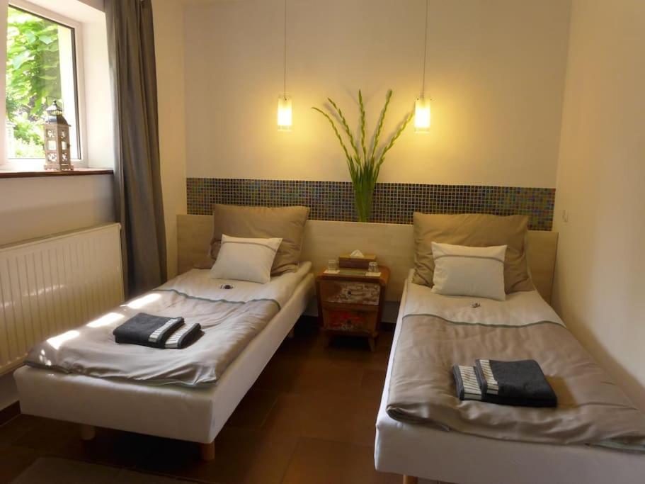 Spacious Apartment In Green District. Breslavia Exterior foto
