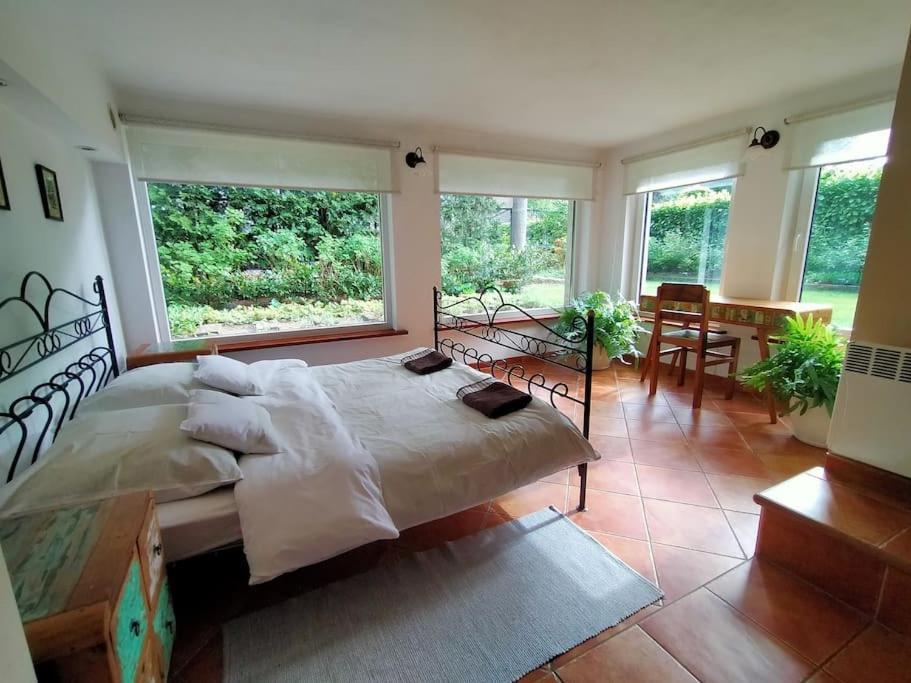 Spacious Apartment In Green District. Breslavia Exterior foto